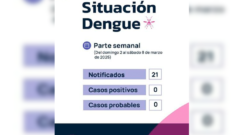 Chaco continúa sin registrar casos de dengue positivo en lo que va del año